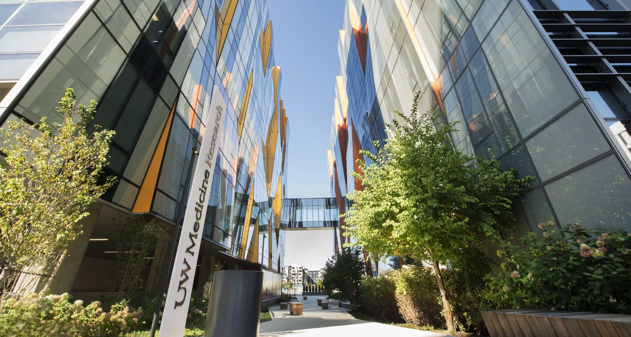 Modern glass buildings with orange accents rise on either side of a walkway lined with trees and greenery. A UW Medicine sign is visible in the foreground under a clear blue sky.