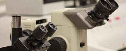 Close-up view of two compound microscopes in a laboratory setting, showing their eyepieces and adjustment knobs, with blurred lab equipment in the background.