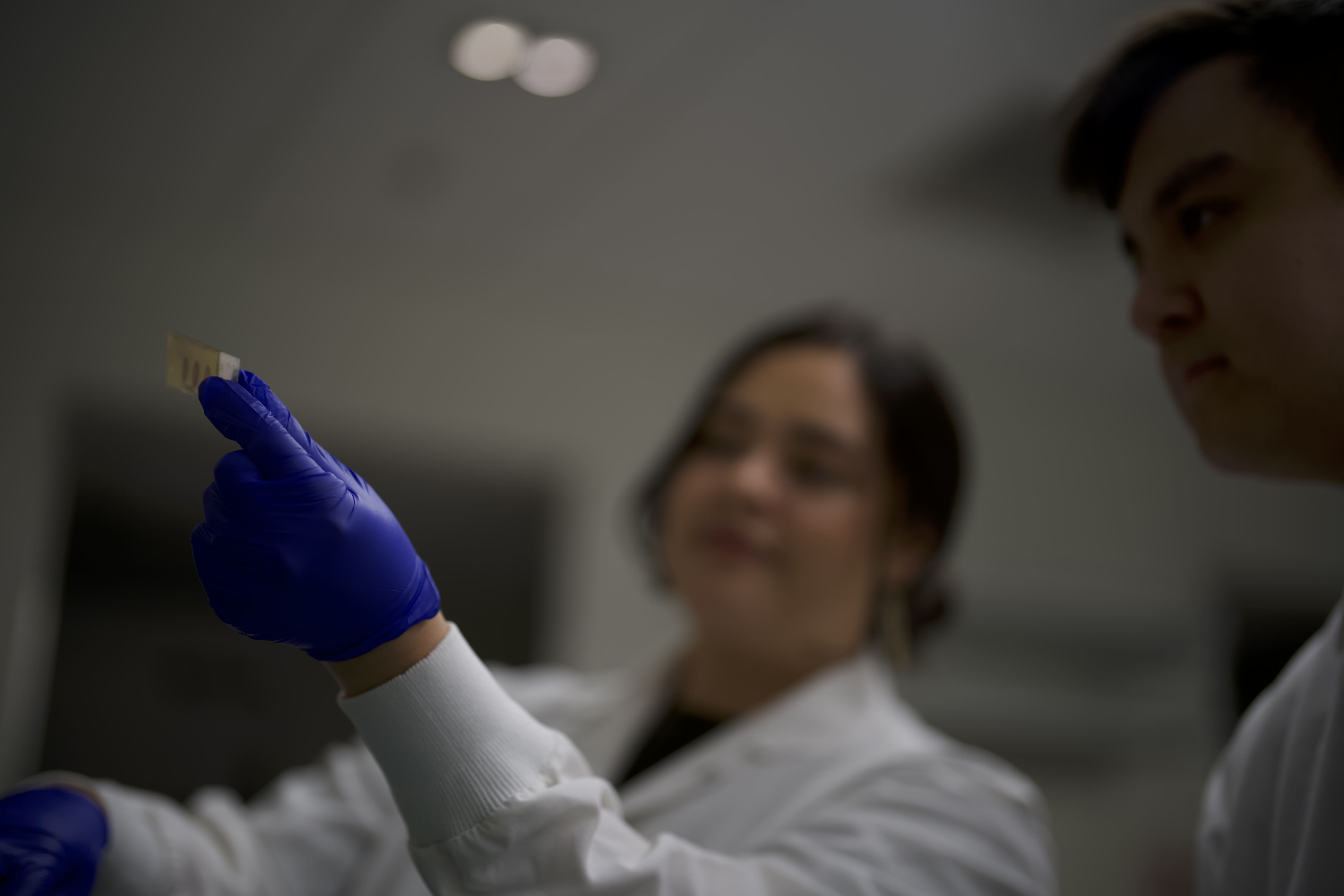 Two scientists wearing white lab coats and blue gloves examine a glass slide in a laboratory, with the image focused on the slide and their faces blurred in the background.
