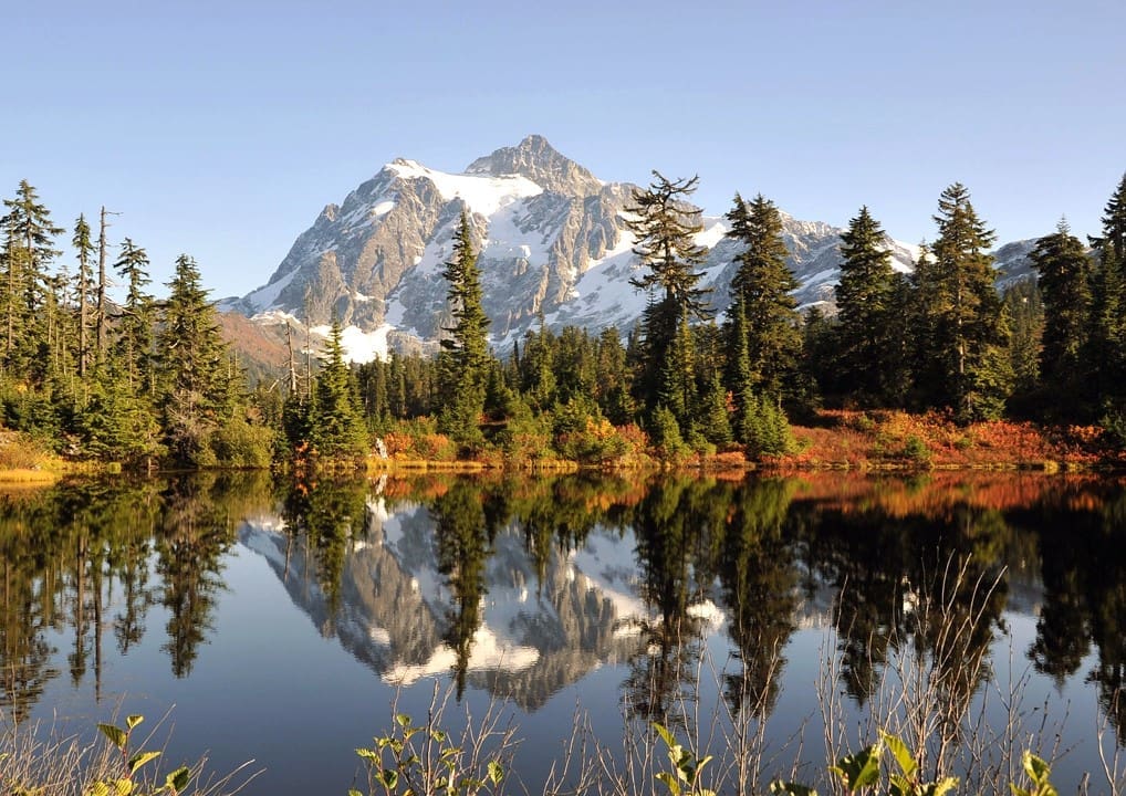 Snow-capped mountain and evergreen trees reflected in a calm lake, with some autumn foliage in the foreground under a clear blue sky.