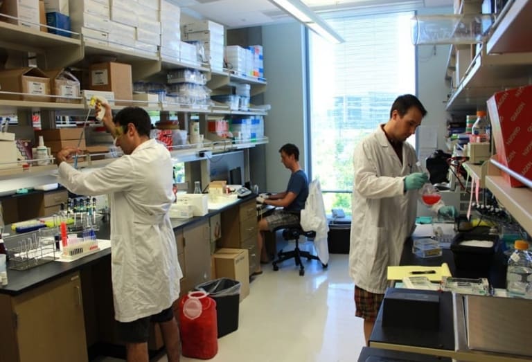 Three people in lab coats work in a bright laboratory with shelves of supplies; one uses pipettes, another handles equipment, and a third sits at a computer. Sunlight streams through a large window.