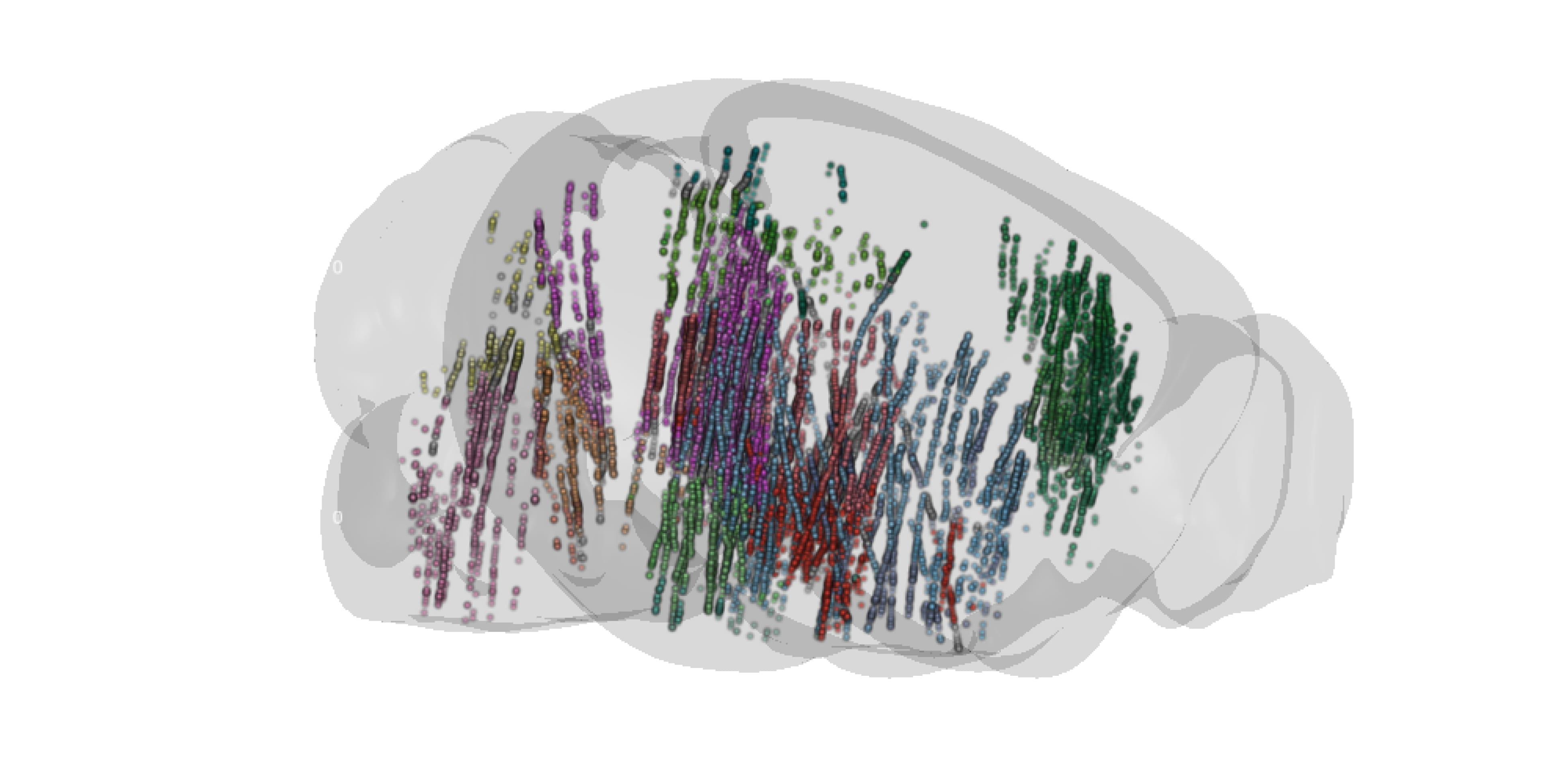A transparent 3D brain outline with colored dots and lines inside, representing data clusters or neural activity patterns distributed throughout different brain regions.